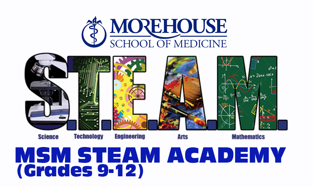 msm steam 9-12