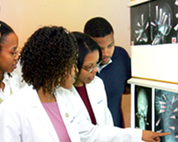 a group of doctors looking at xrays